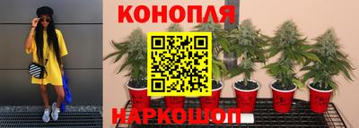 гидропоника Краснодар