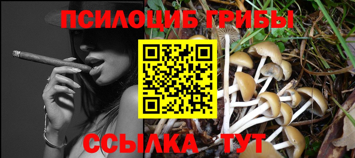 Галлюциногенные грибы мухоморы  Вход с VPN  Салехард 