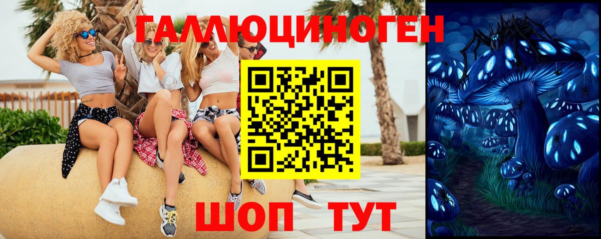 Псилоцибиновые грибы мухоморы Салехард